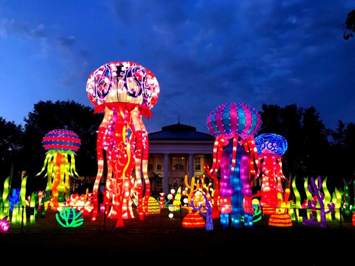 Cartoon Animal Lantern