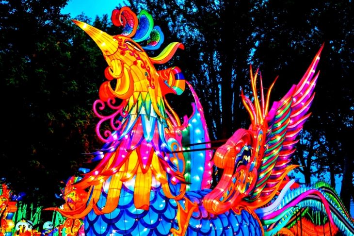Cartoon Animal Lantern